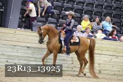 23R13_13925 thumbnail