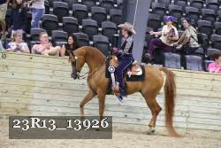 23R13_13926 thumbnail