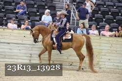 23R13_13928 thumbnail
