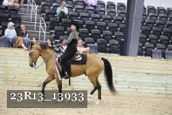 23R13_13933 thumbnail