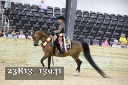 23R13_13941 thumbnail