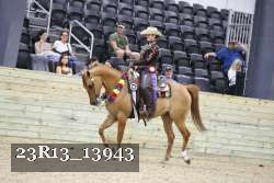 23R13_13943 thumbnail