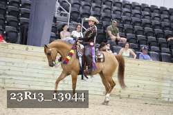 23R13_13944 thumbnail
