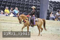 23R13_13945 thumbnail