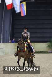 23R13_13946 thumbnail