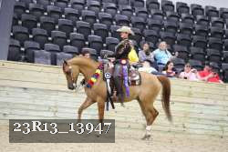 23R13_13947 thumbnail