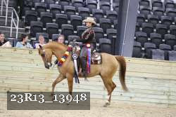 23R13_13948 thumbnail