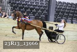 23R13_13966 thumbnail