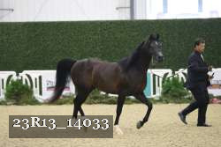 23R13_14033 thumbnail