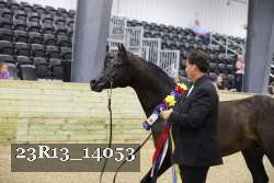 23R13_14053 thumbnail