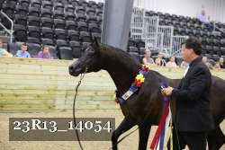 23R13_14054 thumbnail