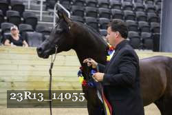 23R13_14055 thumbnail