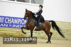 23R13_14080 thumbnail