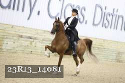 23R13_14081 thumbnail