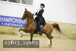 23R13_14083 thumbnail