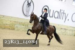 23R13_14084 thumbnail