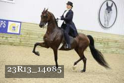 23R13_14085 thumbnail