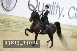 23R13_14086 thumbnail