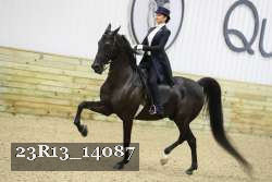 23R13_14087 thumbnail