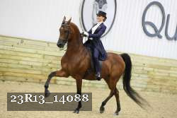 23R13_14088 thumbnail