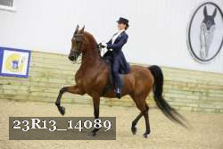 23R13_14089 thumbnail