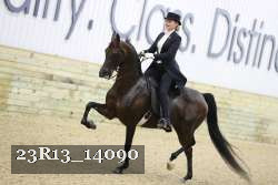 23R13_14090 thumbnail