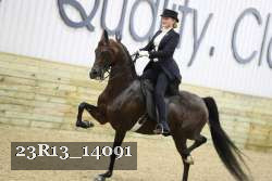 23R13_14091 thumbnail