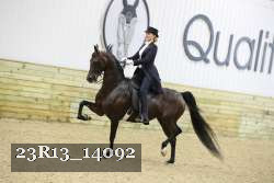23R13_14092 thumbnail
