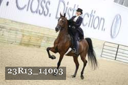 23R13_14093 thumbnail