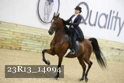 23R13_14094 thumbnail
