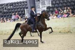 23R13_14095 thumbnail