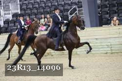 23R13_14096 thumbnail