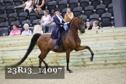 23R13_14097 thumbnail