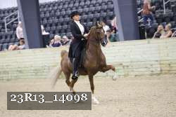 23R13_14098 thumbnail