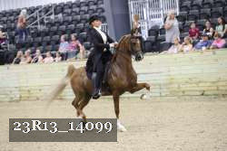 23R13_14099 thumbnail