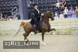 23R13_14100 thumbnail