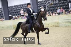 23R13_14101 thumbnail
