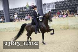 23R13_14102 thumbnail