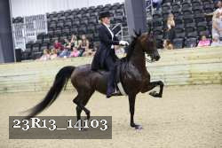 23R13_14103 thumbnail