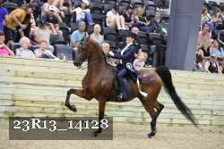 23R13_14128 thumbnail