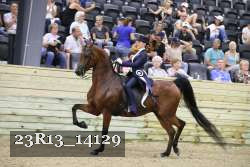 23R13_14129 thumbnail