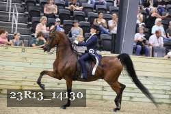 23R13_14130 thumbnail