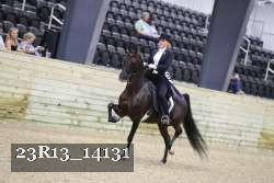23R13_14131 thumbnail