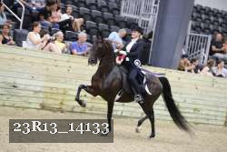 23R13_14133 thumbnail