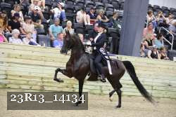 23R13_14134 thumbnail