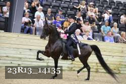 23R13_14135 thumbnail