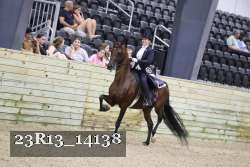 23R13_14138 thumbnail