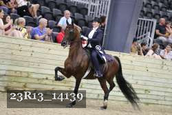 23R13_14139 thumbnail