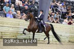 23R13_14140 thumbnail