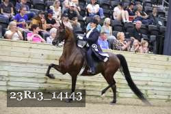 23R13_14143 thumbnail